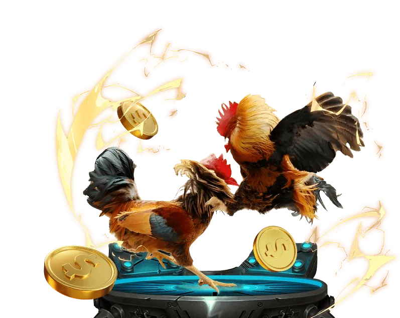 Chọn mục đá gà trực tiếp